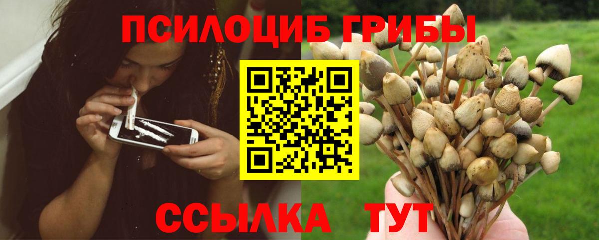 Артёмовский  Псилоцибиновые грибы мицелий  Вход с VPN 